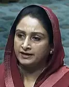 Punjab Floods: Over 2,300 Villages Hit, SAD MP Blames Centre-State Rift