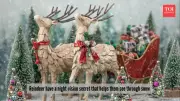 Santa's Secret Weapon: How Reindeer's Night Vision Powers Christmas Eve
