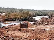 Satellite Study Reveals 160 Acres of Mangroves Destroyed in Raigad, Thane, Palghar