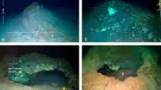 Scientists Discover Methane Hydrate Mounds & Life at 3640m in Greenland Sea