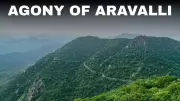 SC's 100-Meter Aravalli Definition Sparks Environmental Concerns