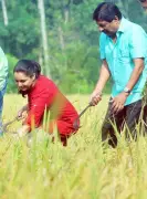 Sreenivasan's Organic Farming Sparks Green Revolution in Kandanadu