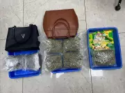 Surat Airport Seizes Rs 3.11 Crore Cannabis from Bangkok Passenger, Second Case in a Week