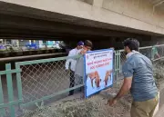 Surat Installs Public Notice Boards for Dog Feeding Spots to Curb Bites