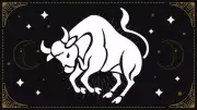 Taurus Horoscope Tomorrow: Steady Progress, Love Clarity, Career Rewards
