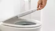 Toilet Lid Up or Down? Science Reveals Surprising Truth About Germ Spread