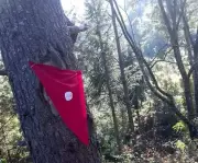 Uttarakhand Villages Revive Ancient Faith-Based Forest Conservation