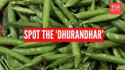 Viral Kitchen Illusion: Can You Spot the 'Dhurandhar' Among the Peas?