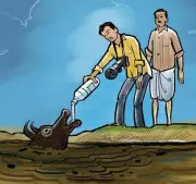 Vypeen Island Rescue: How a Buffalo Stuck in Mud Was Saved by Collective Effort