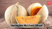 Yubari King Melon: Japan's ₹27,000 Luxury Fruit - Why It's So Expensive