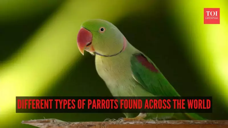 10 Most Fascinating Parrot Species Worldwide: From Seychelles to Amazon