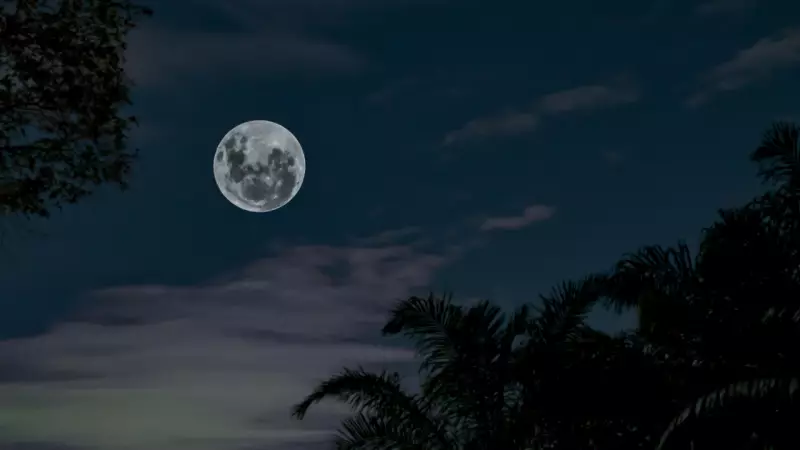 10 Powerful Rituals After First Full Moon of 2026 for a Grounded Start