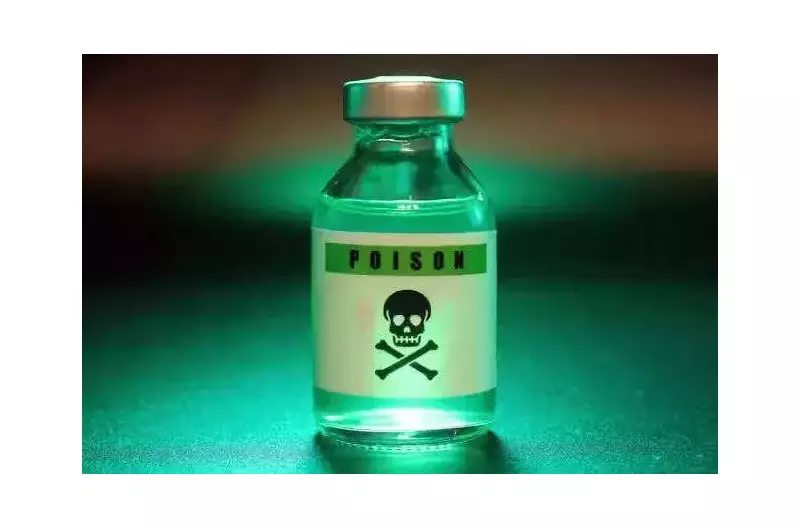 106 Acres of Paddy Seedlings Destroyed in Medak: Election Revenge Suspected