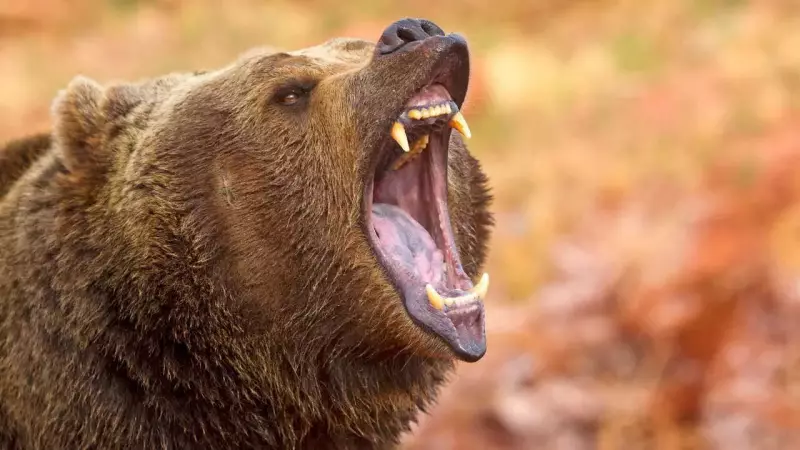 11 Animals That Eat Their Young: Survival Instinct, Not Cruelty