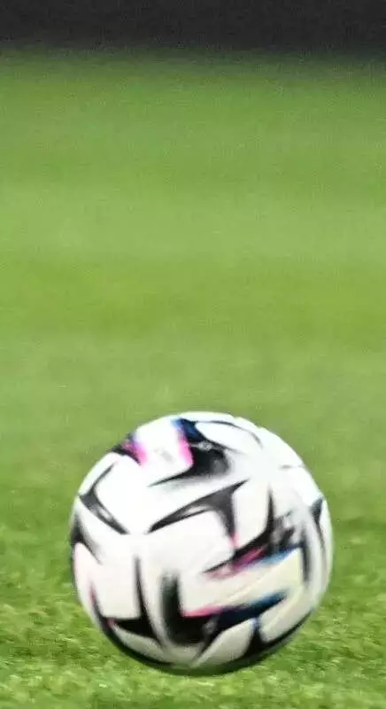 14-Year-Old Footballer Collapses and Dies During Village Match in Fazilka