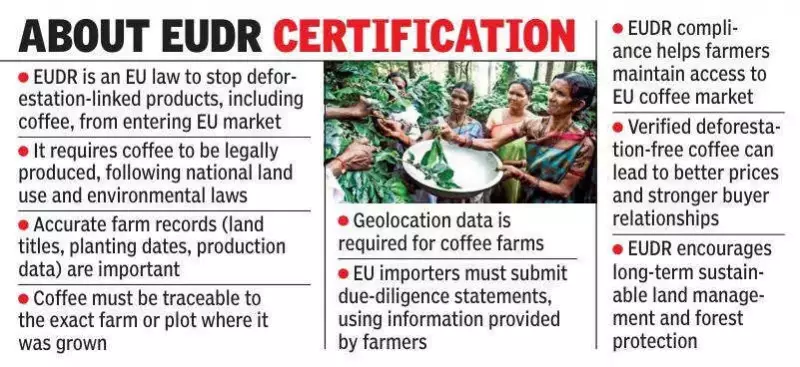 15,000 Araku Coffee Farmers Set for EUDR Certification, Eye Premium Markets