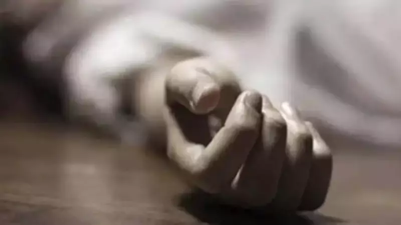 18-Year-Old Stabbed to Death in Delhi Park by Girl's Brother and Associates
