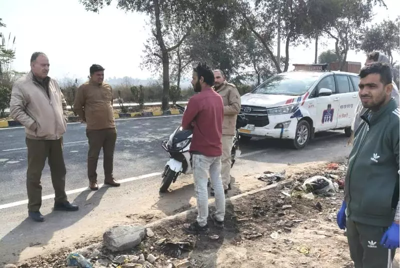 29 Stray Dogs Found Dead in Rohtak, Authorities Probe Mysterious Circumstances