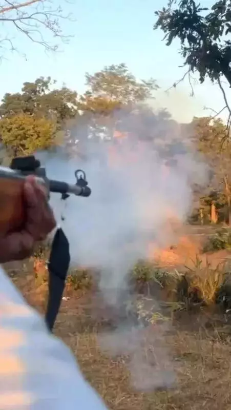 3 Arrested, Minor Flees After Armed Youths' Reel in Chhattisgarh Tiger Reserve Sparks Outrage