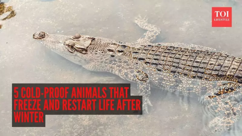 5 Animals That Freeze Solid & Come Back to Life After Winter