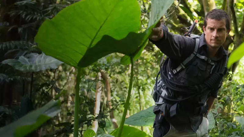 5 Jungle Survival Tips from Bear Grylls & Their Real-Life Applications
