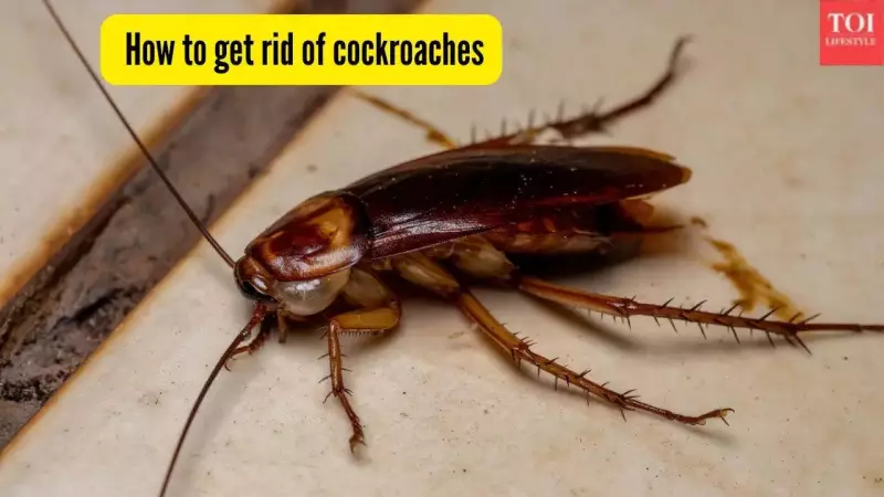 5 Proven Methods to Eliminate Cockroaches from Your Kitchen