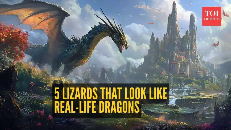 5 Real Lizards That Look Like Dragons From Fantasy Movies