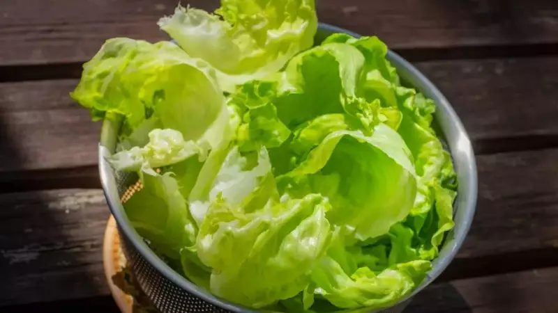 5 Simple Steps to Keep Lettuce Crisp & Green for Days, Not Hours