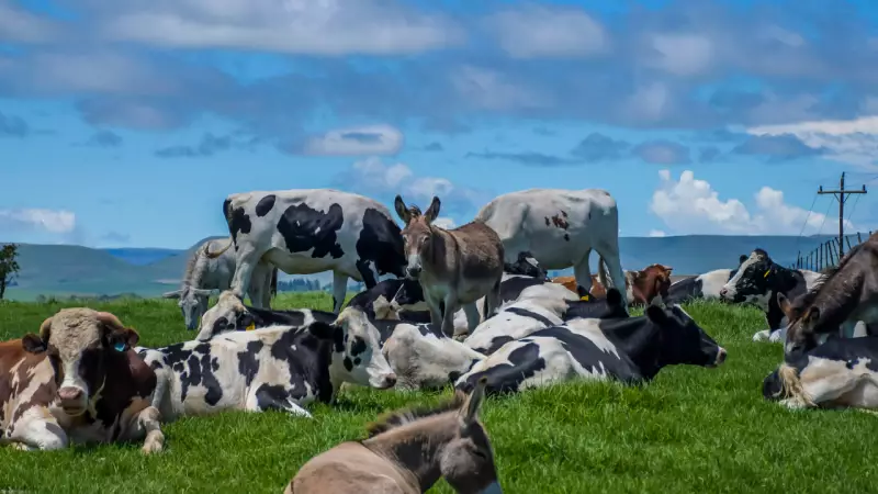 6 Animals That Look Harmless But Are Actually Extremely Dangerous