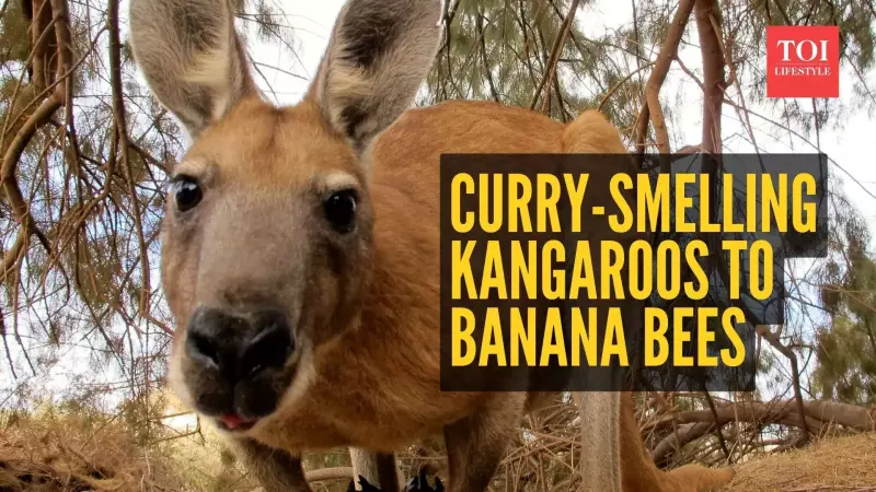 6 Animals That Smell Like Food: From Curry Kangaroos to Banana Bees