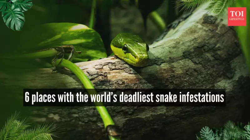 6 Global Hotspots Where the World's Deadliest Snakes Thrive