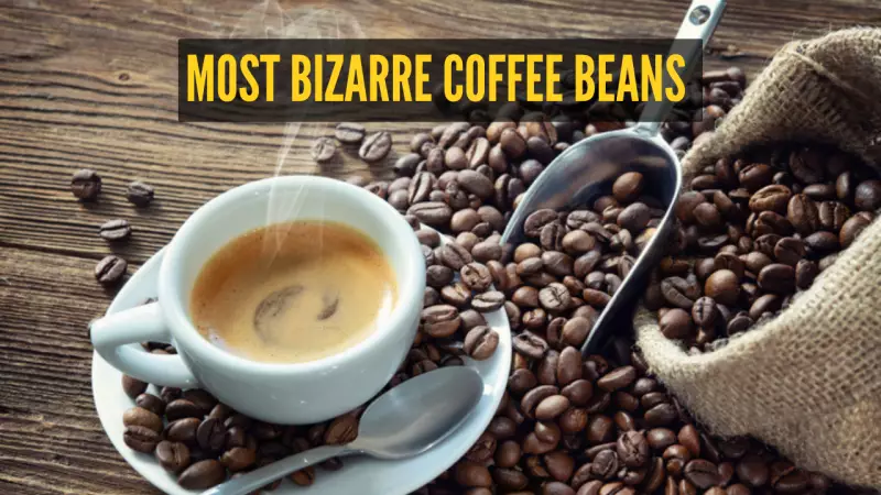 6 Most Bizarre Coffee Bean Processing Methods Worldwide