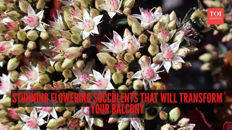 6 Stunning Flowering Succulents to Transform Your Balcony Garden
