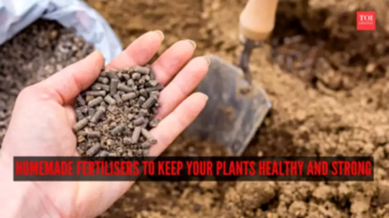 7 Easy Homemade Fertilizers for Healthy Plants: Natural Kitchen Solutions