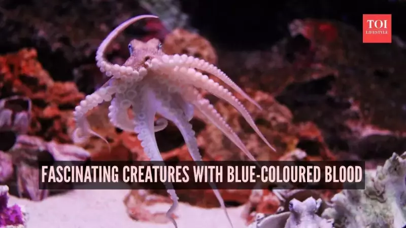 7 Fascinating Creatures with Blue Blood: Nature's Copper-Based Marvels