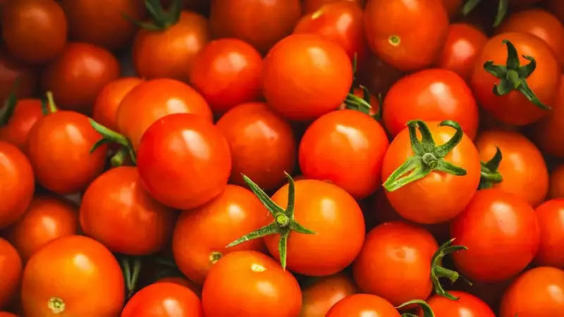 7 Foods You Should Never Refrigerate: Science Reveals Why It Ruins Them