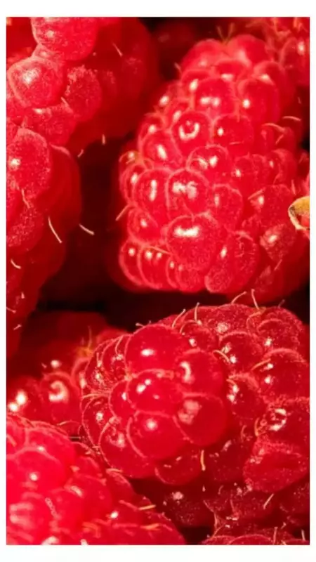 7 Superfoods for a Healthier You: From Haldi to Salmon