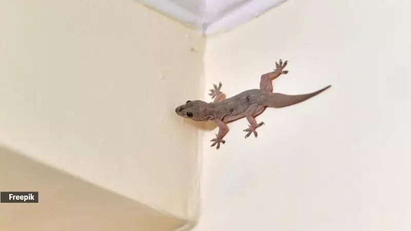 7 Uninvited Animal Guests Living Rent-Free in Your Home