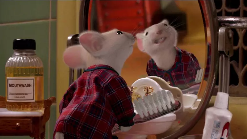 8 Animals That Can Sense Human Fear: The Science Behind Their Survival Edge