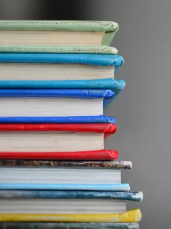 8 Eco-Themed Card Games to Replace Doomscrolling with Environmental Awareness