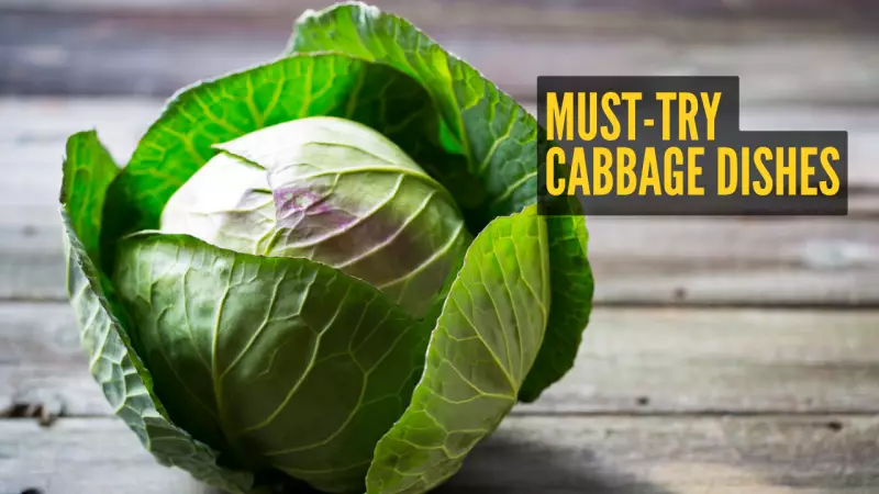 9 Global Cabbage Dishes Celebrated by Taste Atlas in 2026