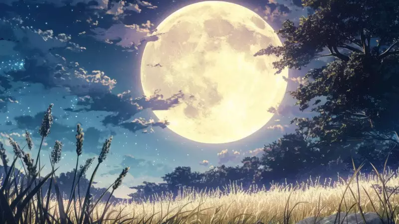 9 Powerful Full Moon Rituals for 2026 Based on Your Birth Number