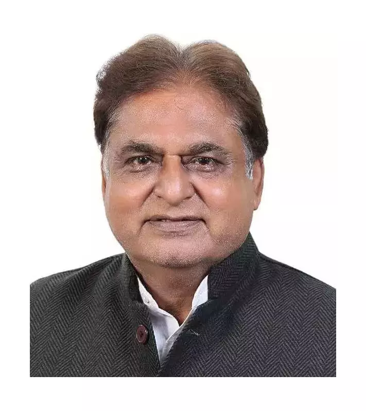 AAP Delegation Demands Commercial Status for Patiala's De Facto Business Hubs