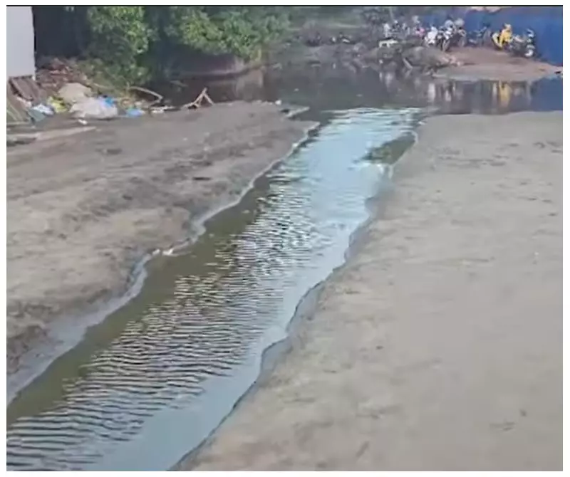 Activists Sound Alarm Over Sewage Dumping Threatening Olive Ridley Turtles in Morjim-Ashvem