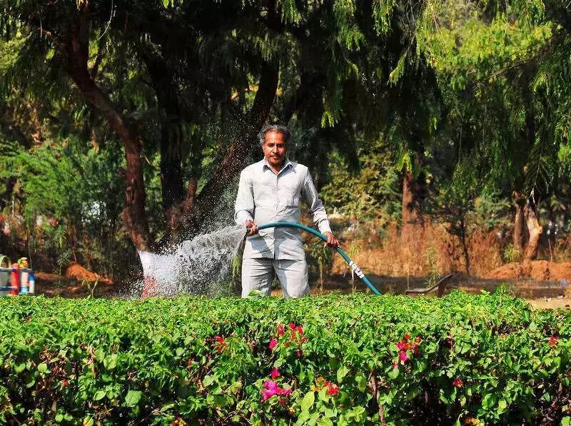 Ahmedabad Civic Body's Rs 140 Crore Tenders Under Scrutiny for Corruption Allegations