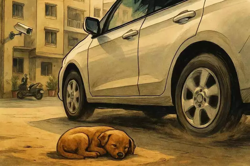 Ahmedabad Man Booked After Car Crushes Sleeping Puppy in Ranip Society