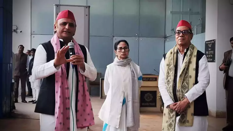 Akhilesh Yadav Backs Mamata Banerjee, Says 'Didi Will Defeat BJP' After Meeting