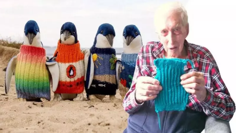 Alfie Date's Penguin Sweaters: Viral Story of 110-Year-Old's Conservation Legacy
