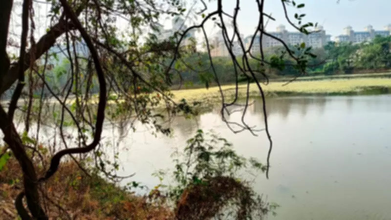 Algal Bloom Threatens Navi Mumbai's DPS Flamingo Lake, Winter Migration at Risk