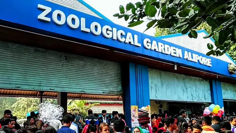 Alipore Zoo Boosts Disinfection After Nipah Cases, Visitor Numbers Steady